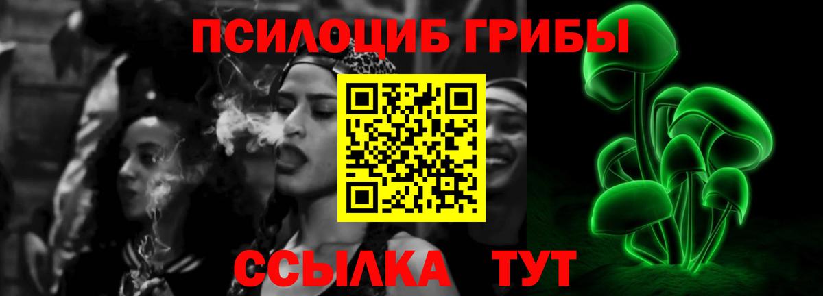 Псилоцибиновые грибы мицелий  Псилоцибиновые грибы Psilocybine cubensis  Ейск  Вход с VPN 
